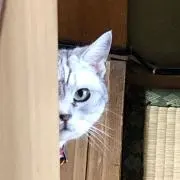 カドヒロ
