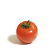 tomato chanの画像