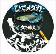 ひでメダカの画像