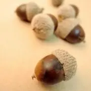 どんぐり*プロフ読んでねの画像