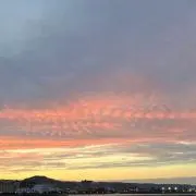 ゆんすけの画像