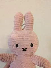 みーの画像