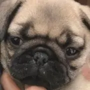 ituki☆