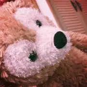 れっどの画像