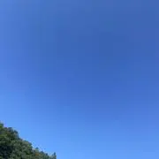 あおの画像