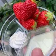 いちごの画像