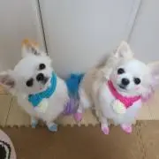 らーゆ