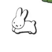 ぴよこの画像