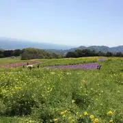 na⭐︎の画像