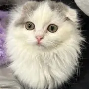 まんまる