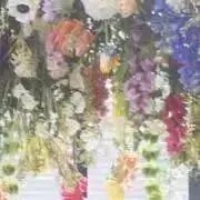 ららの画像