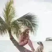 sunの画像