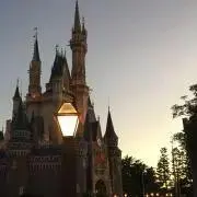 Rの画像