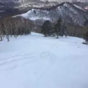 はな