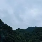 もも