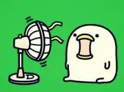 だいちゃんの画像