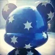 コサキの画像