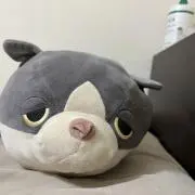 チョコレート星人の画像