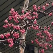 るんるん♪