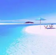 マティーの画像