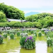 soraの画像