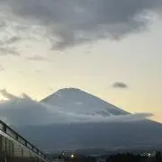 Sの画像