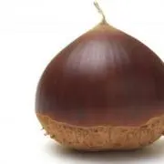 kuriの画像