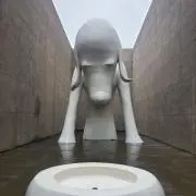 たくみの画像