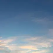 ジョグ