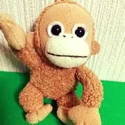 ちいたんの画像
