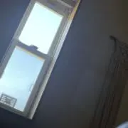 モモ