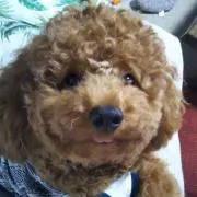 なおみん