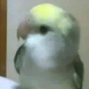 たま