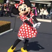 パンダプロフ必須の画像
