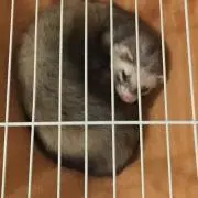 りゅうた