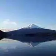 nariの画像