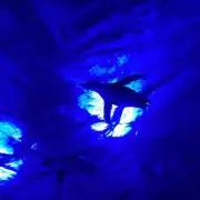 ひろきの画像