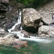 旅猿*プロフ必読！
