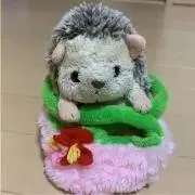 ハリーの画像