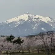 ヒロ24時間以内発送の画像