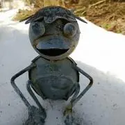 カッパの画像