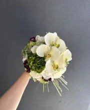nakamakiの画像
