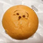 ヨッチの画像