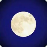 たむ庵の画像