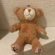 くまこの画像