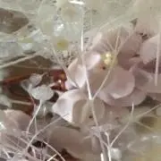 ゆーの画像