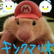 キンクマ