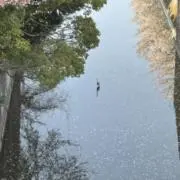월ホワイト.の画像