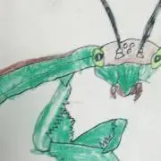 @@@の画像