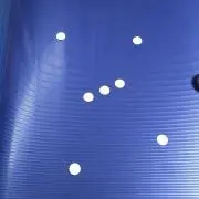 白の画像